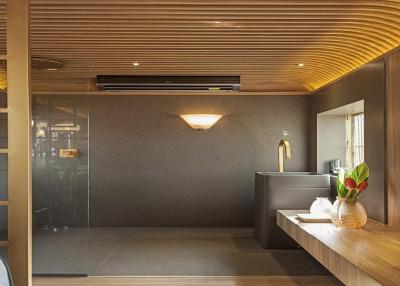 Silestone Amazon Duschwandplatte - Ansicht 4
